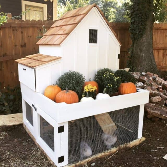 Best ideas about DIY Chicken Coops
. Save or Pin 55 DIY Chicken Coop Plans For Free Now.