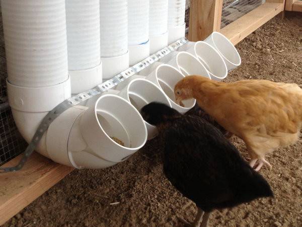 Best ideas about DIY Chicken Feeder
. Save or Pin Fun and Creative DIY PVC Pipe Projects Hative Now.