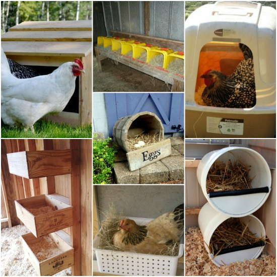 Best ideas about DIY Chicken Nest Boxes
. Save or Pin 22 Chicken Approved Inexpensive Nesting Boxes Now.