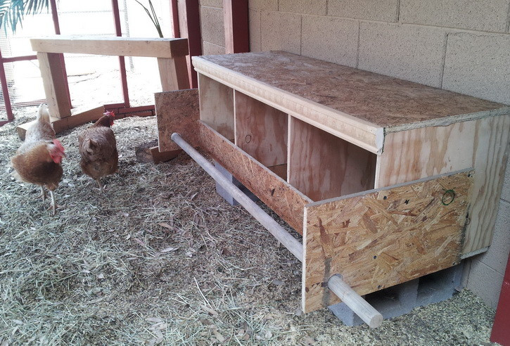 Best ideas about DIY Chicken Nest Boxes
. Save or Pin How To Build a Chicken Nesting Box Now.