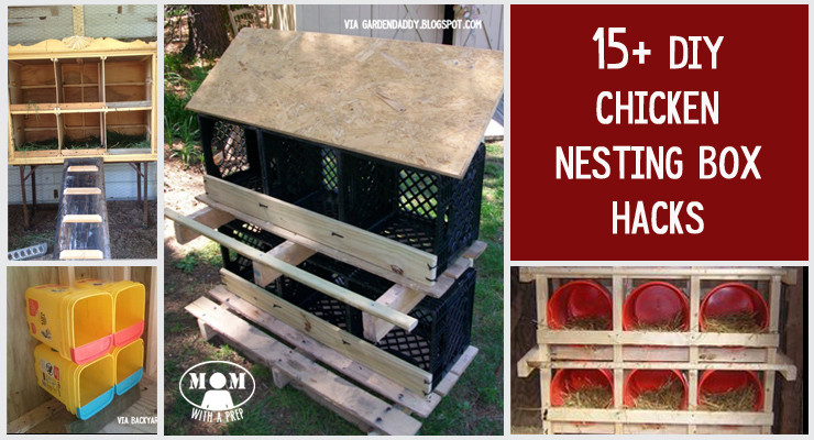 Best ideas about DIY Chicken Nest Boxes
. Save or Pin 15 Chicken Nesting Box Hacks Mom with a PREP Now.