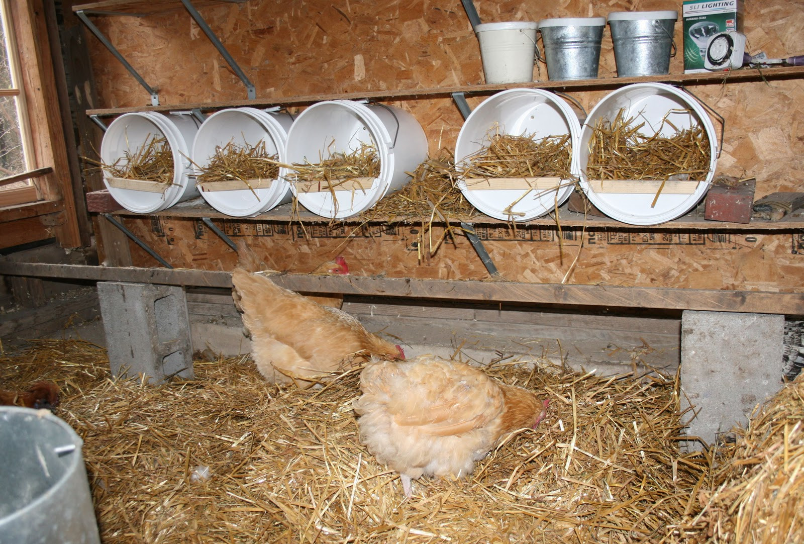 Best ideas about DIY Chicken Nest Boxes
. Save or Pin Bucket o Chicken Now.