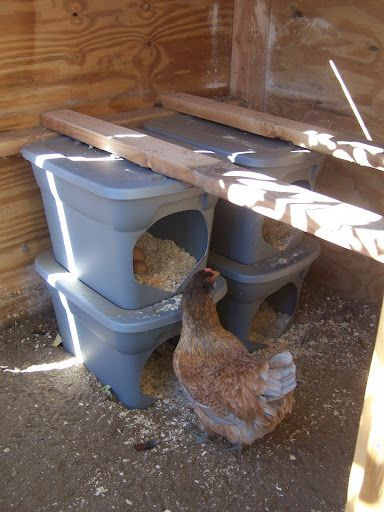 Best ideas about DIY Chicken Nest Boxes
. Save or Pin Best 25 Chicken nesting boxes ideas on Pinterest Now.