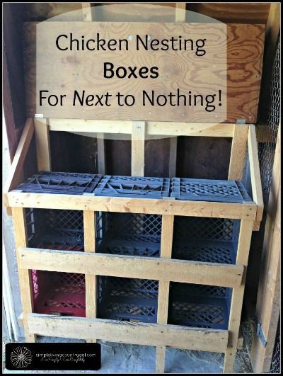 Best ideas about DIY Chicken Nest Boxes
. Save or Pin Best 25 Chicken nesting boxes ideas on Pinterest Now.