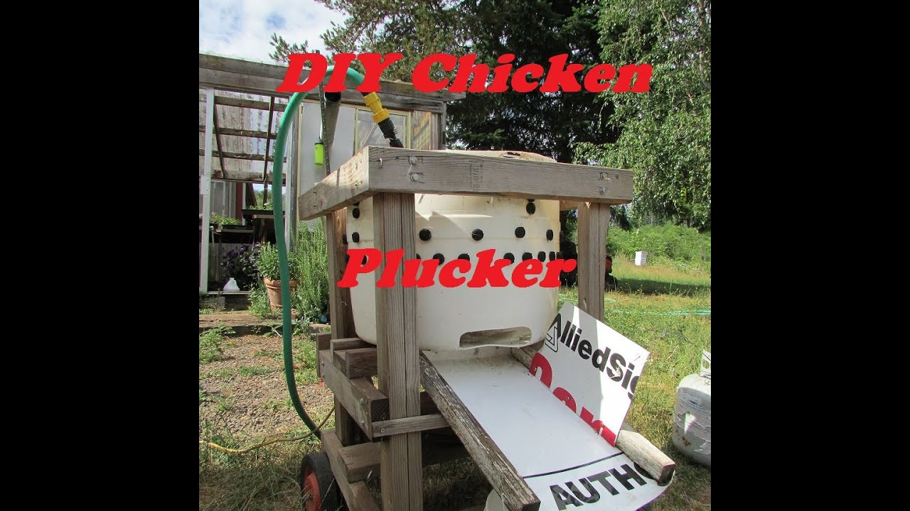 Best ideas about DIY Chicken Plucker
. Save or Pin DIY homemade chicken plucker design Now.