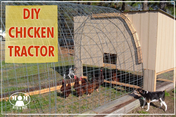 Best ideas about DIY Chicken Tractor
. Save or Pin A DIY Chicken Tractor on the Cheep Mom with a PREP Now.