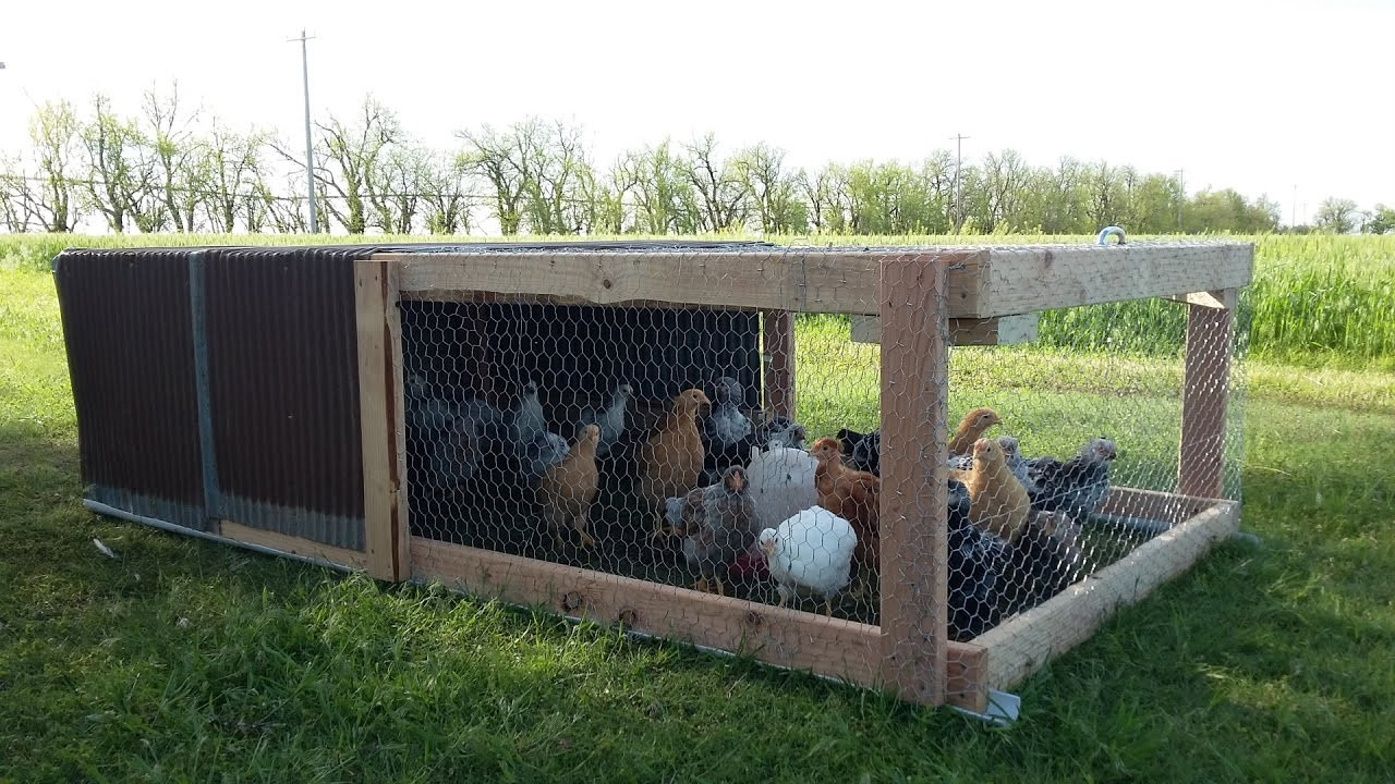 Best ideas about DIY Chicken Tractor
. Save or Pin Easy DIY Chicken Tractor Now.
