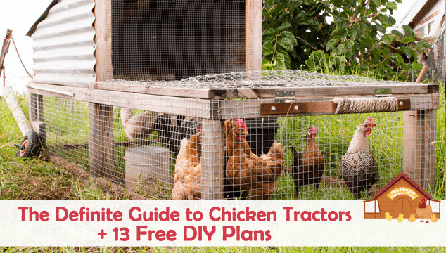 Best ideas about DIY Chicken Tractor
. Save or Pin The Definitive Guide to Chicken Tractors and 13 Free DIY Plans Now.