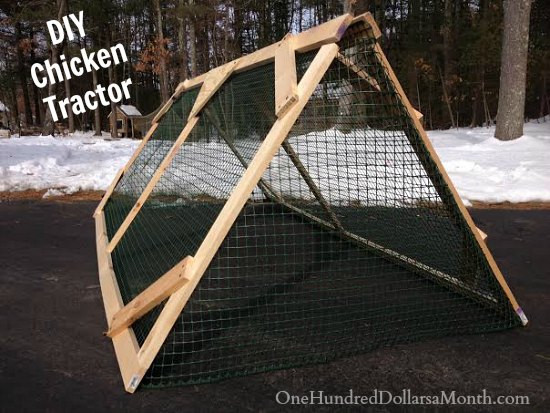 Best ideas about DIY Chicken Tractor
. Save or Pin How to Build a Chicken Tractor e Hundred Dollars a Month Now.