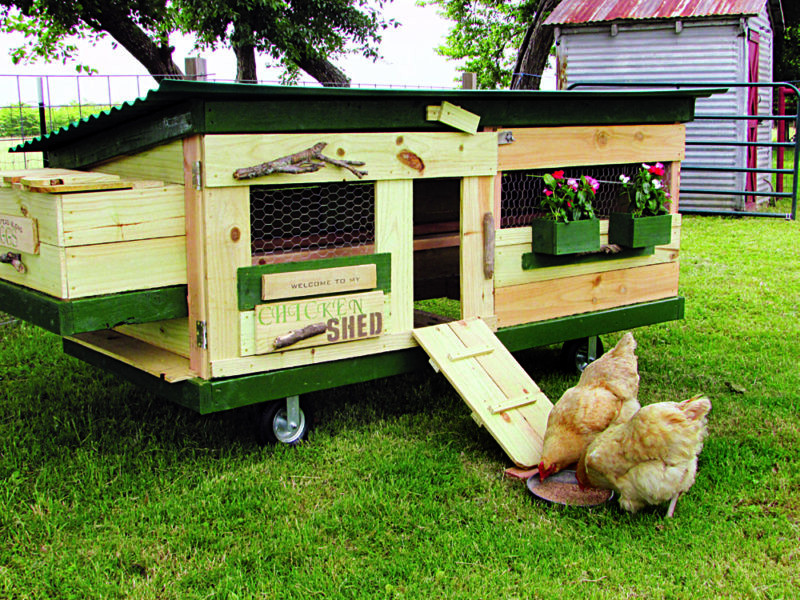 Best ideas about DIY Chicken Tractor
. Save or Pin 27 DIY Chicken Tractor Plans Your Birds Will Cluck About Now.