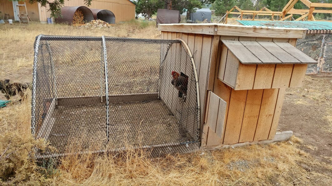 Best ideas about DIY Chicken Tractor
. Save or Pin 5 DIY Chicken Tractors That Will Revolutionize Your Now.