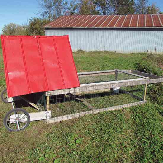 Best ideas about DIY Chicken Tractor
. Save or Pin DIY Chicken Tractor Plans for Pastured Poultry Now.