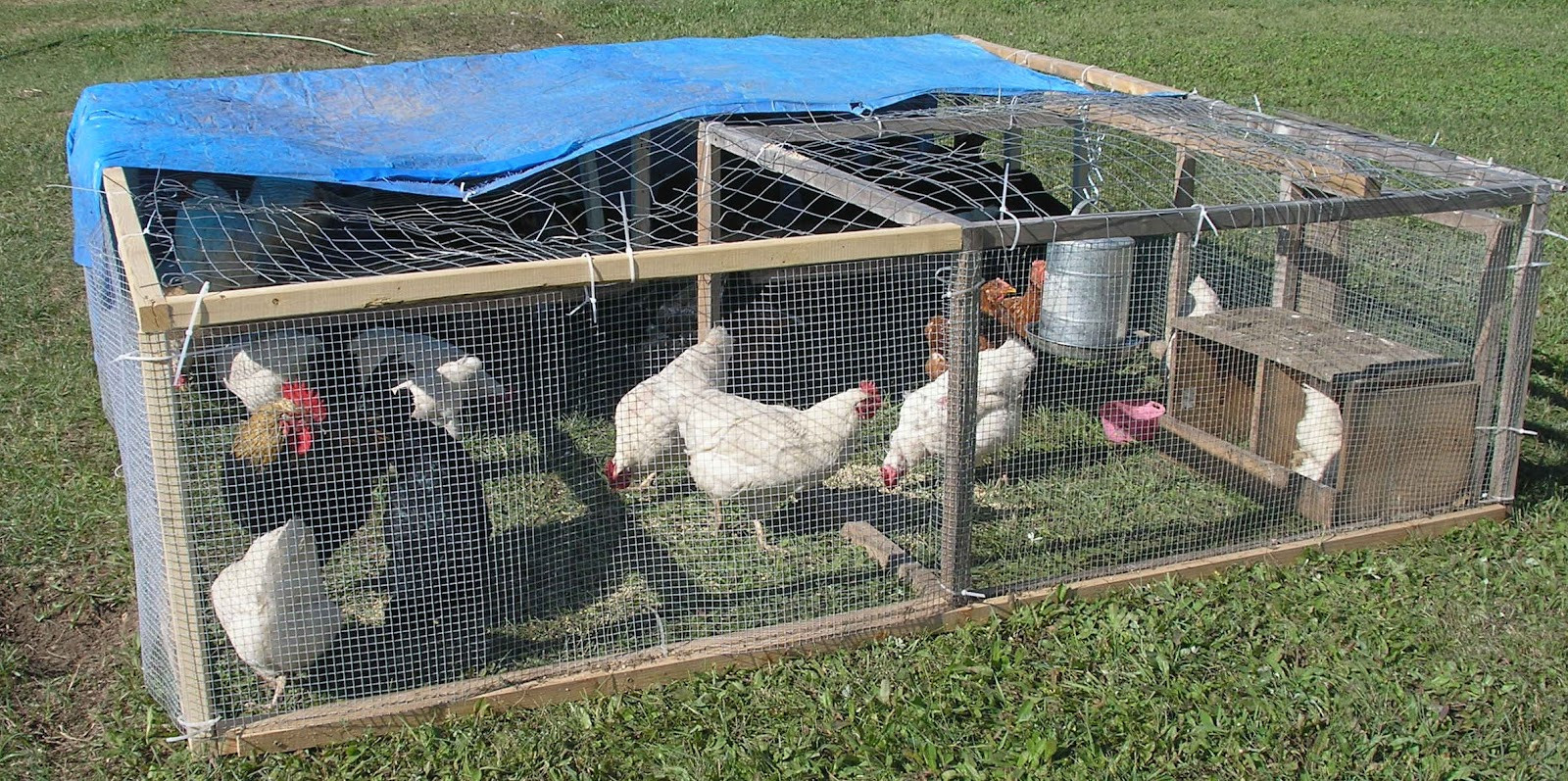 Best ideas about DIY Chicken Tractor
. Save or Pin The Cheerful Agrarian DIY Chicken Tractor Pricing Now.