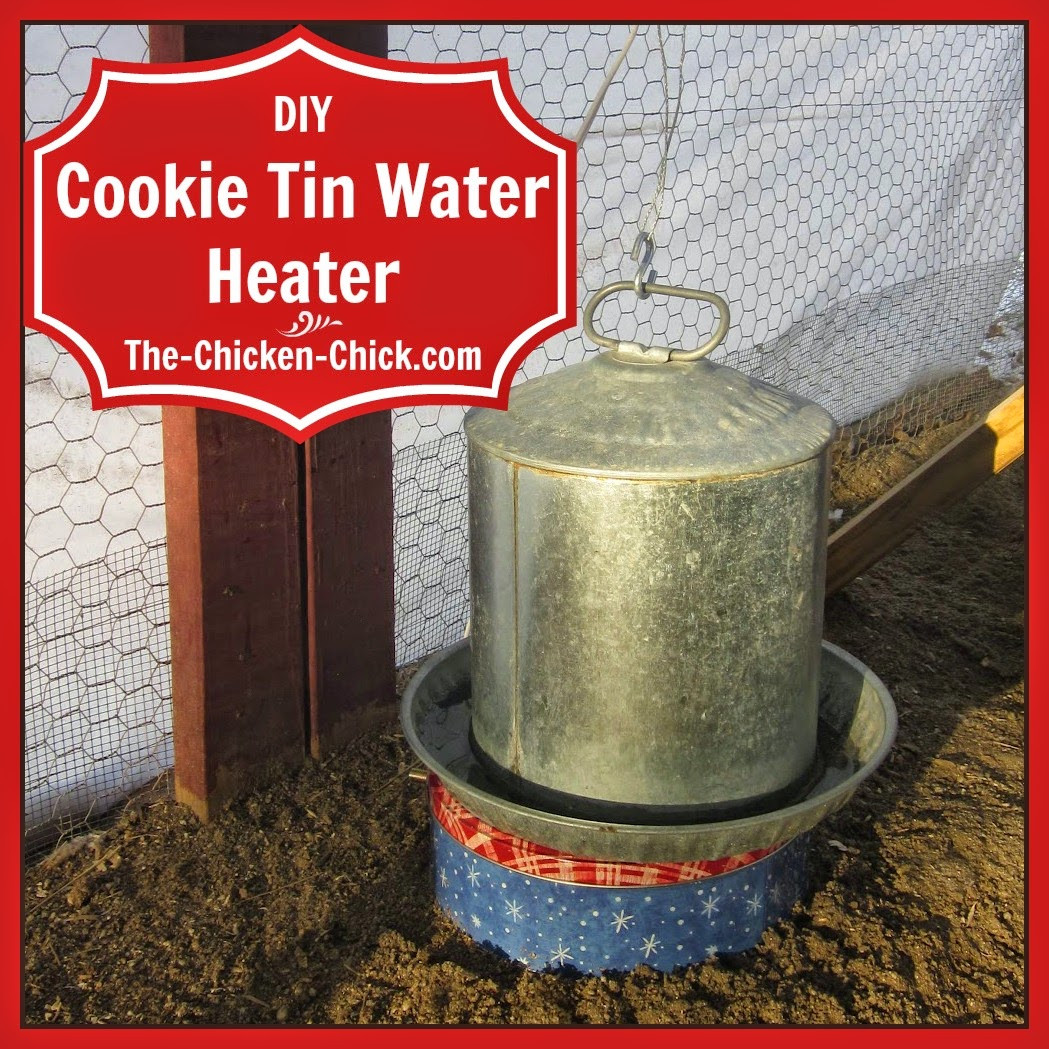 Best ideas about DIY Chicken Water Heater
. Save or Pin 10 Winter Chicken Care Mistakes to Avoid Now.