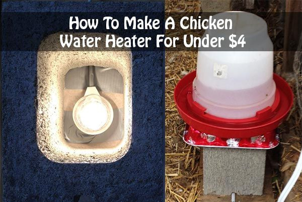 Best ideas about DIY Chicken Water Heater
. Save or Pin 17 Best ideas about Chicken Water Heater on Pinterest Now.