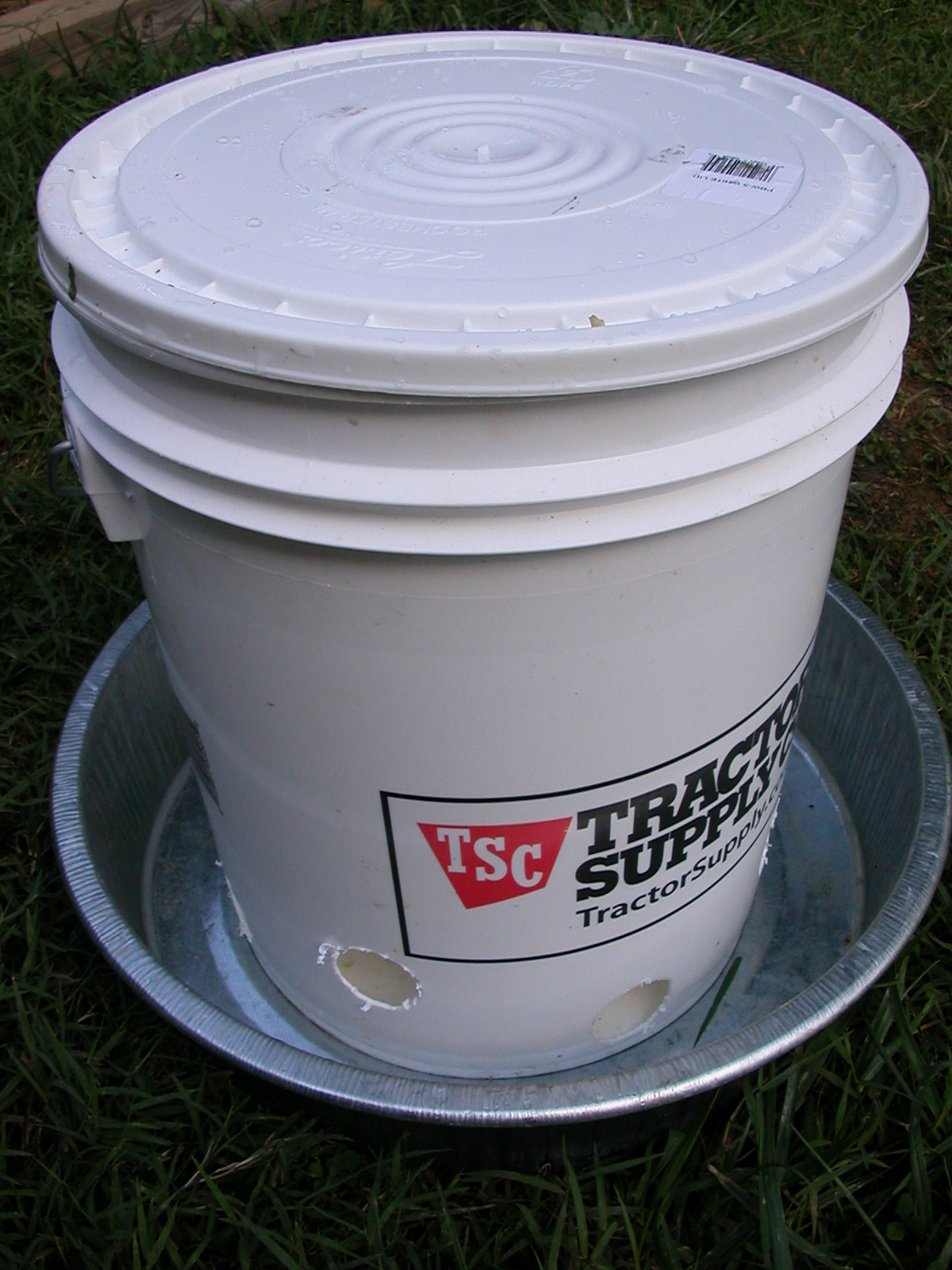 Best ideas about DIY Chicken Waterer
. Save or Pin diy chicken waterer – Barefooting Outside the Box Now.