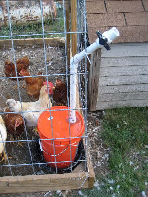 Best ideas about DIY Chicken Waterer
. Save or Pin 10 Chicken Water Station Ideas Now.