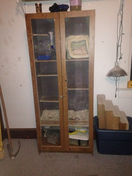 Best ideas about DIY Chinchilla Cage
. Save or Pin Diy Chinchilla Cage Now.