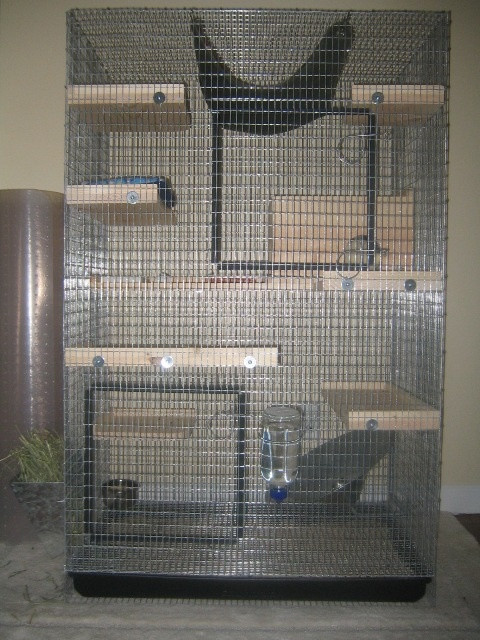 Best ideas about DIY Chinchilla Cage
. Save or Pin Great Article with Great Cage Info Now.