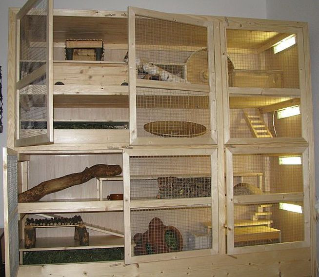 Best ideas about DIY Chinchilla Cage
. Save or Pin 87 best images about Chinchilla Cages on Pinterest Now.