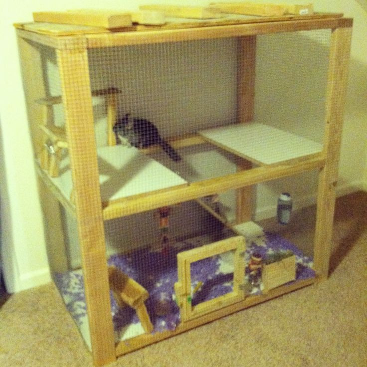 Best ideas about DIY Chinchilla Cage
. Save or Pin chinchilla cage DIY For the Home Pinterest Now.