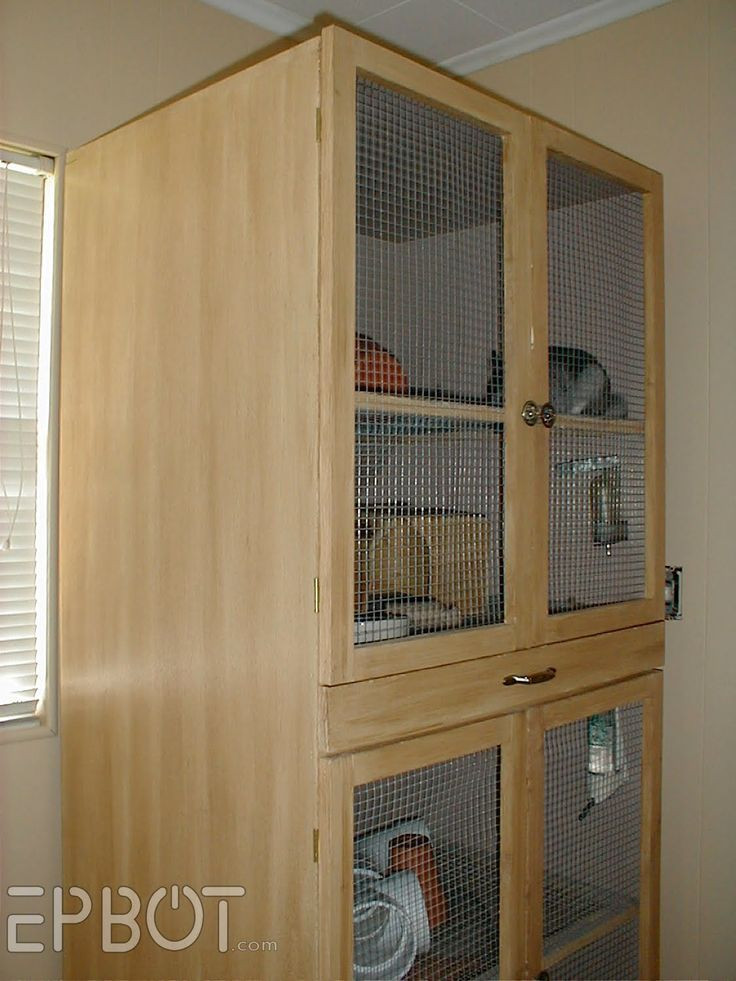 Best ideas about DIY Chinchilla Cage
. Save or Pin 1000 ideas about Chinchilla Cage on Pinterest Now.