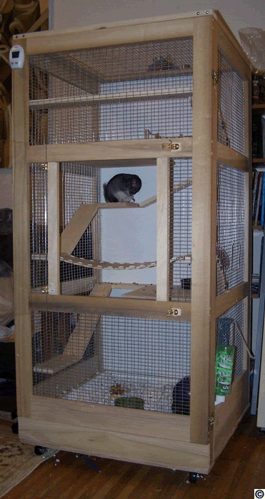 Best ideas about DIY Chinchilla Cage
. Save or Pin Health & Lifestyle chincare Now.