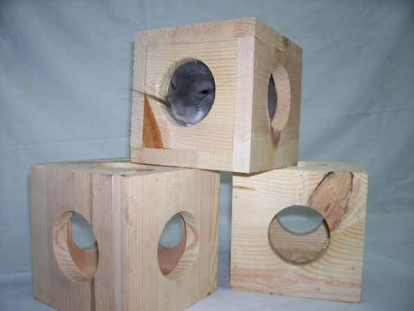 Best ideas about DIY Chinchilla Toys
. Save or Pin 83 best images about Chinchilla DIY on Pinterest Now.