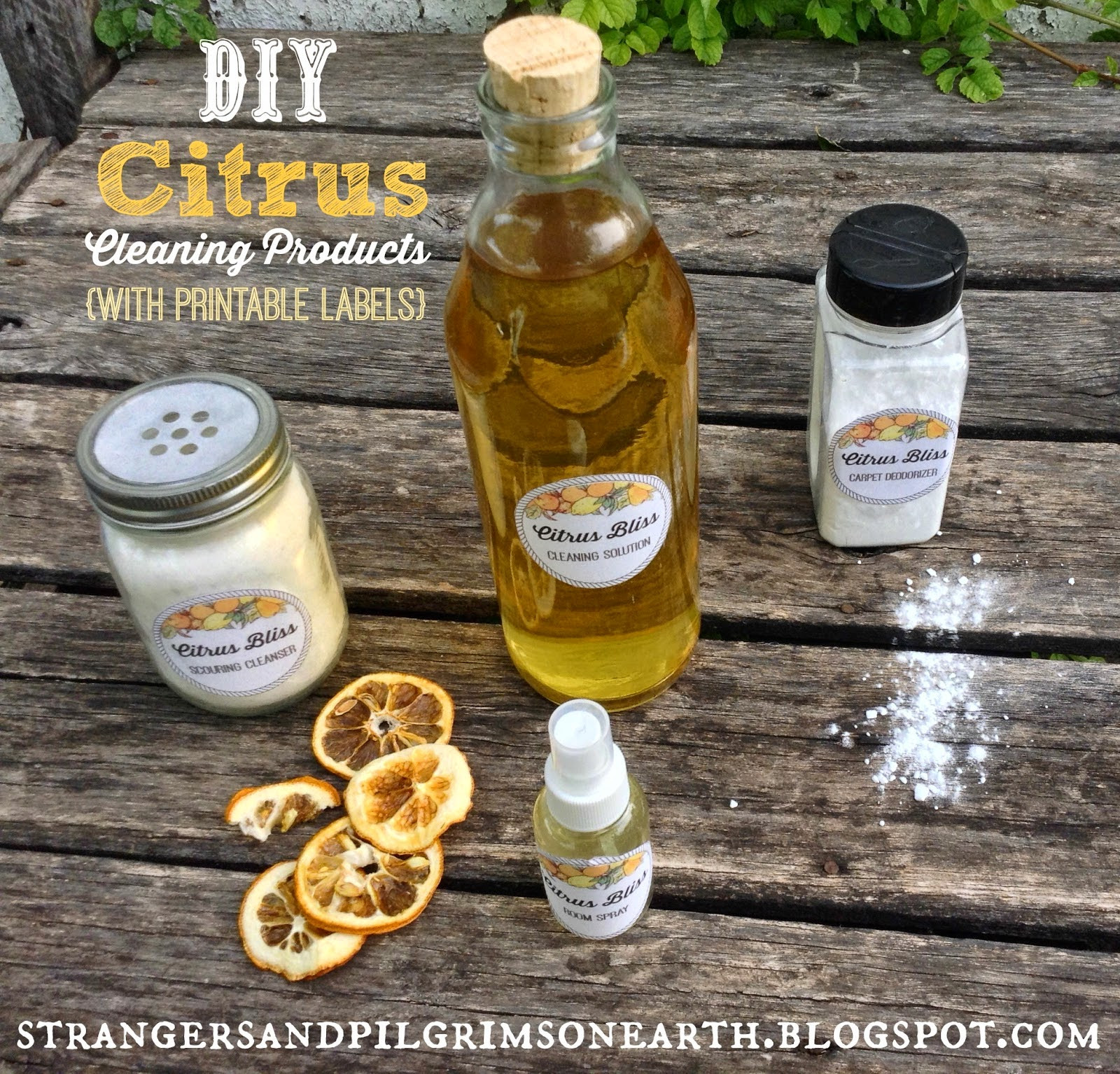 Best ideas about DIY Cleaning Products
. Save or Pin Strangers & Pilgrims on Earth Make Your Own Honey Rose Now.