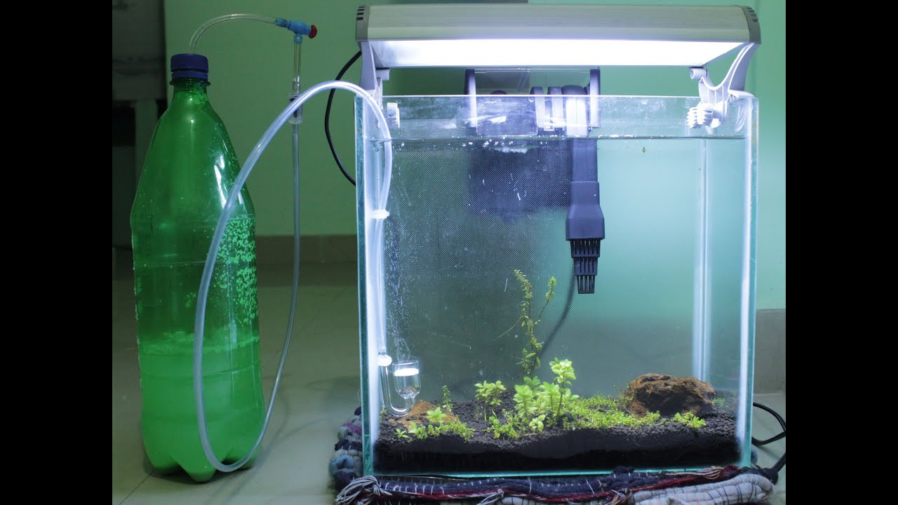 Best ideas about DIY Co2 Aquarium
. Save or Pin DIY CO2 reactor or generator for aquatic plants in less Now.