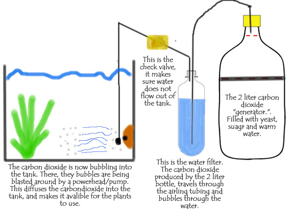 Best ideas about DIY Co2 Aquarium
. Save or Pin DIY CO2 Setup for the planted aquarium Now.