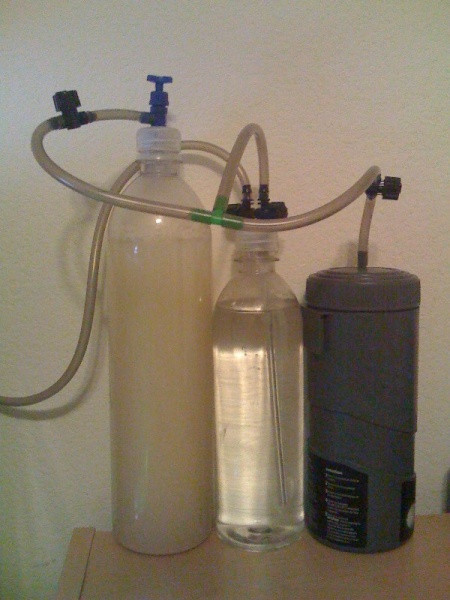 Best ideas about DIY Co2 Aquarium
. Save or Pin co2 Help Aquarium Advice Aquarium Forum munity Now.