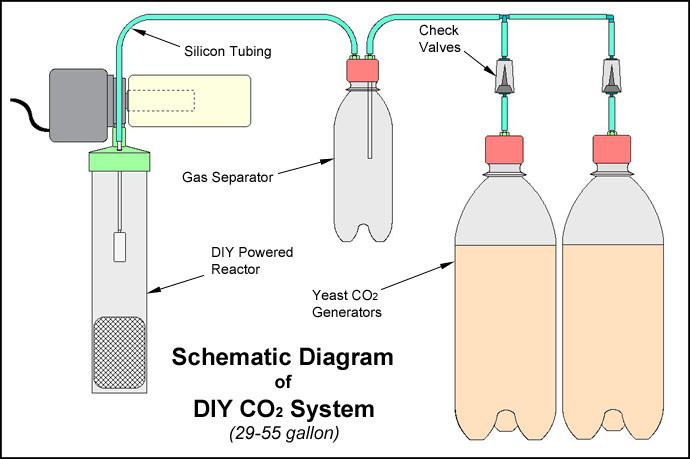 Best ideas about DIY Co2 Aquarium
. Save or Pin DIY CO2 System for Planted Aquarium Now.