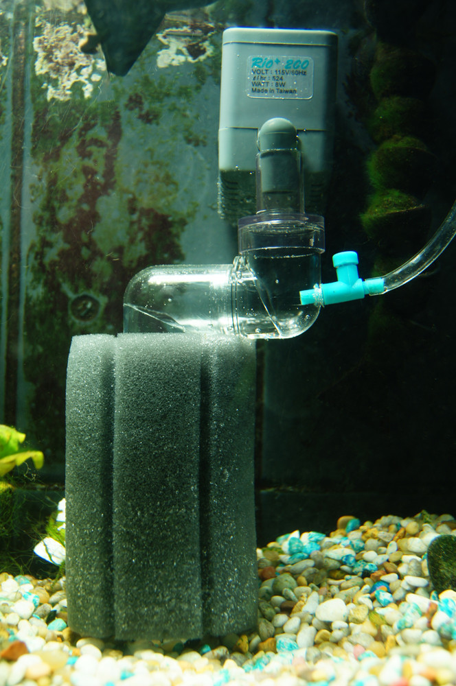 Best ideas about DIY Co2 Reactor
. Save or Pin Best CO2 Diffuser for 75g The Planted Tank Forum Now.