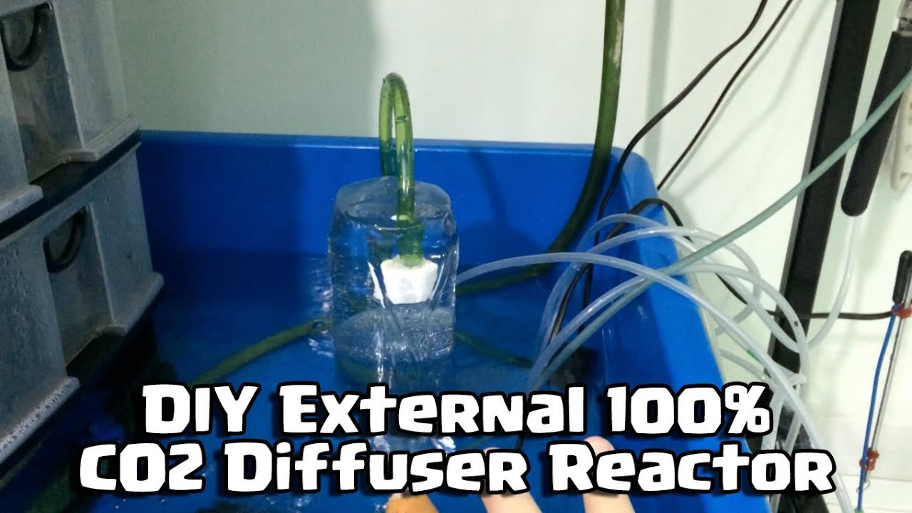 Best ideas about DIY Co2 Reactor
. Save or Pin DIY External CO2 Diffuser Reactor for Aquarium Now.