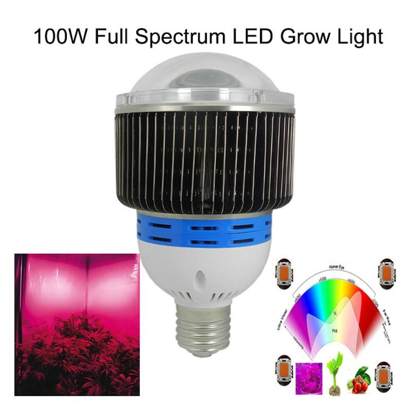 Best ideas about DIY Cob Led Grow Light
. Save or Pin Build your own covert cannibis grow fridge like a BOSS Now.