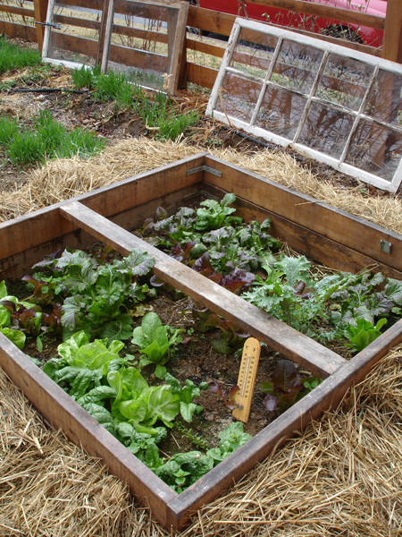 Best ideas about DIY Cold Frame
. Save or Pin DIY Garden Projects Now.