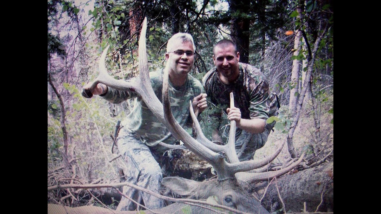 Best ideas about DIY Colorado Elk Hunt
. Save or Pin 2013 Colorado Elk Hunt DIY Public Land Pope & Young Now.