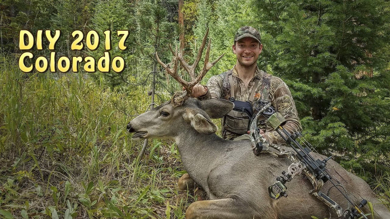 Best ideas about DIY Colorado Elk Hunt
. Save or Pin DIY Colorado Mule Deer 2017 Now.