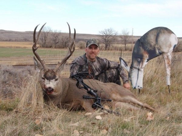 Best ideas about DIY Colorado Elk Hunt
. Save or Pin Poor Man’s Hunting Guide DIY Over The Counter Mule Deer Now.