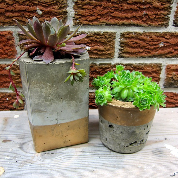 Best ideas about DIY Concrete Planter
. Save or Pin DIY Cool Concrete Planters Now.