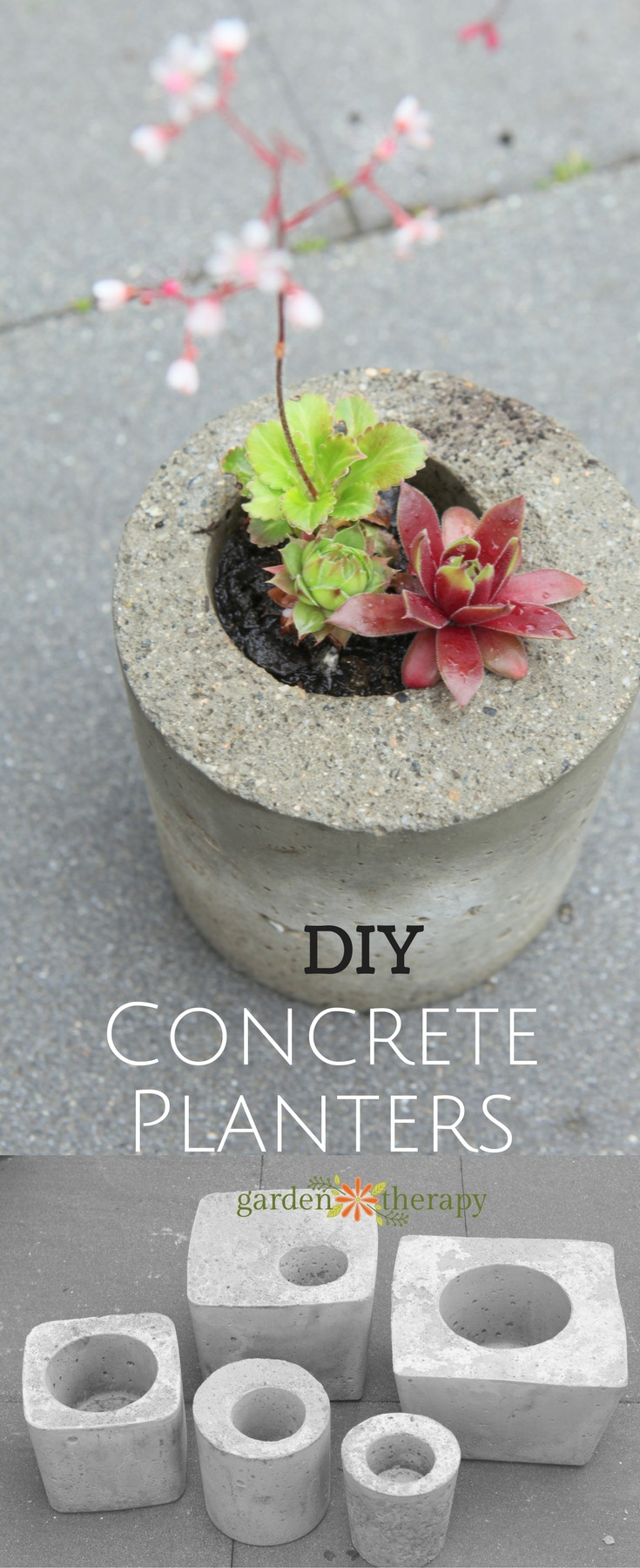 Best ideas about DIY Concrete Planter
. Save or Pin How to Make Concrete Planters Now.