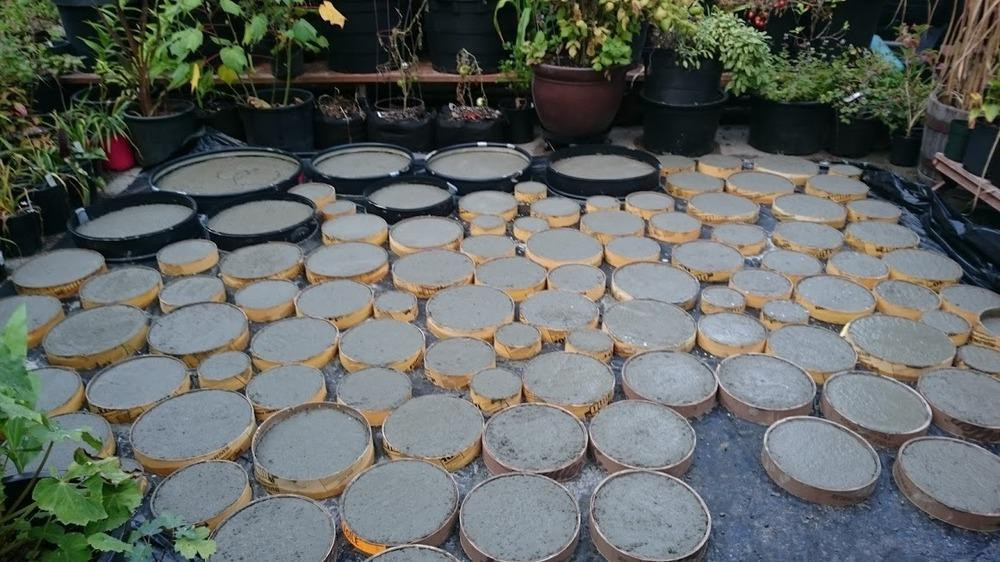 Best ideas about DIY Concrete Stepping Stones
. Save or Pin Landscape Design forum DIY Concrete Stepping Stone Path Now.