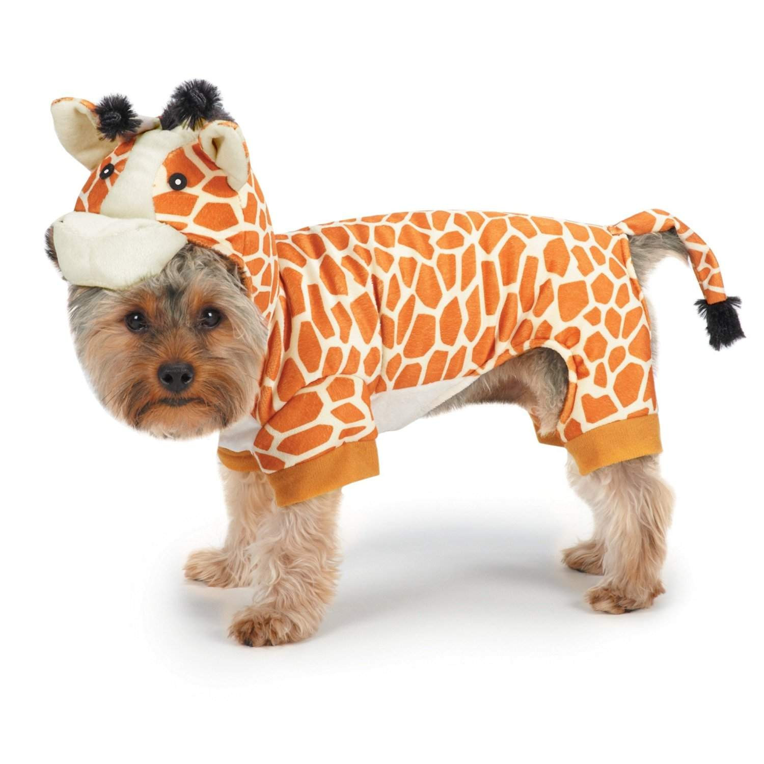 Best ideas about DIY Costumes For Dogs
. Save or Pin Top 20 Best Cute Dog Costumes for Halloween Now.
