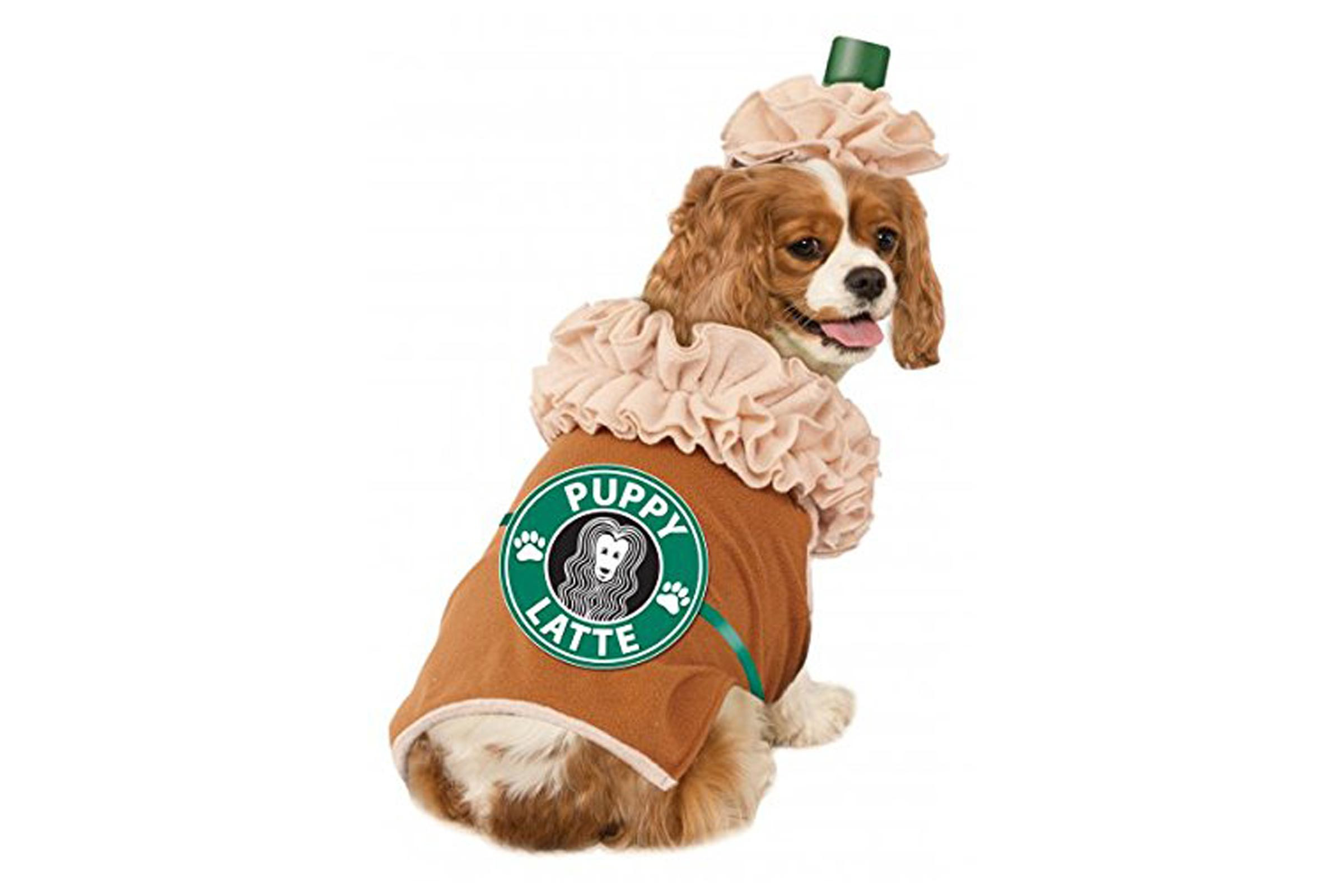 Best ideas about DIY Costumes For Dogs
. Save or Pin Dog Halloween Costumes Best Halloween Costumes for Dogs Now.