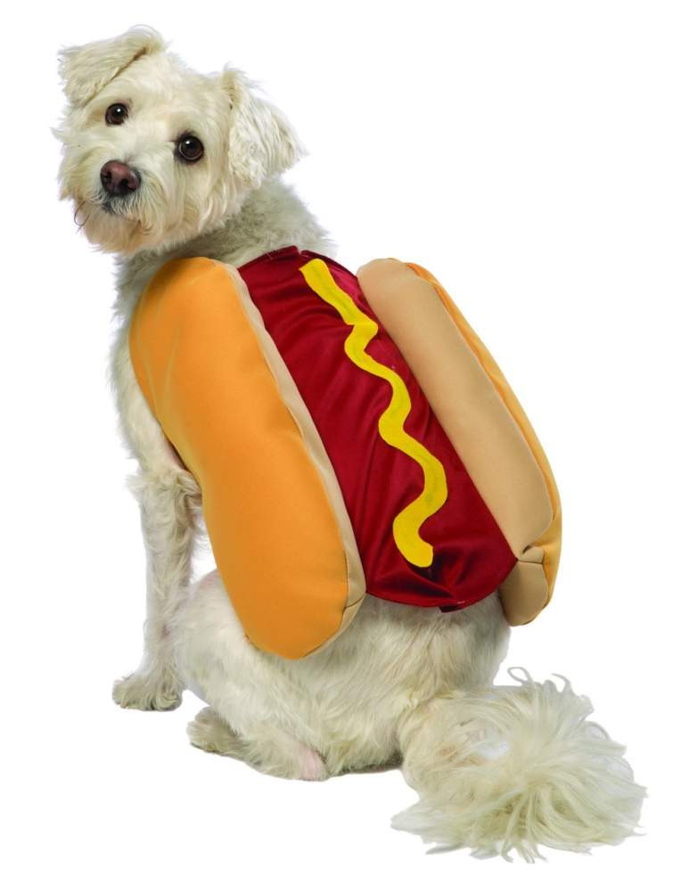 Best ideas about DIY Costumes For Dogs
. Save or Pin Top 20 Best Cute Dog Costumes for Halloween in 2017 Now.