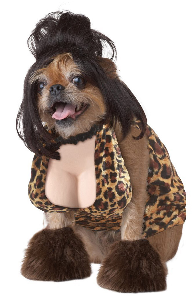 Best ideas about DIY Costumes For Dogs
. Save or Pin Top 10 Trending Dog Halloween Costumes For 2015 Dogtime Now.