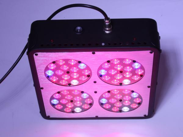 Best ideas about DIY Cree Xlamp Led Grow Light Kit
. Save or Pin Cheap diy led grow light kits of janelee6462 Now.