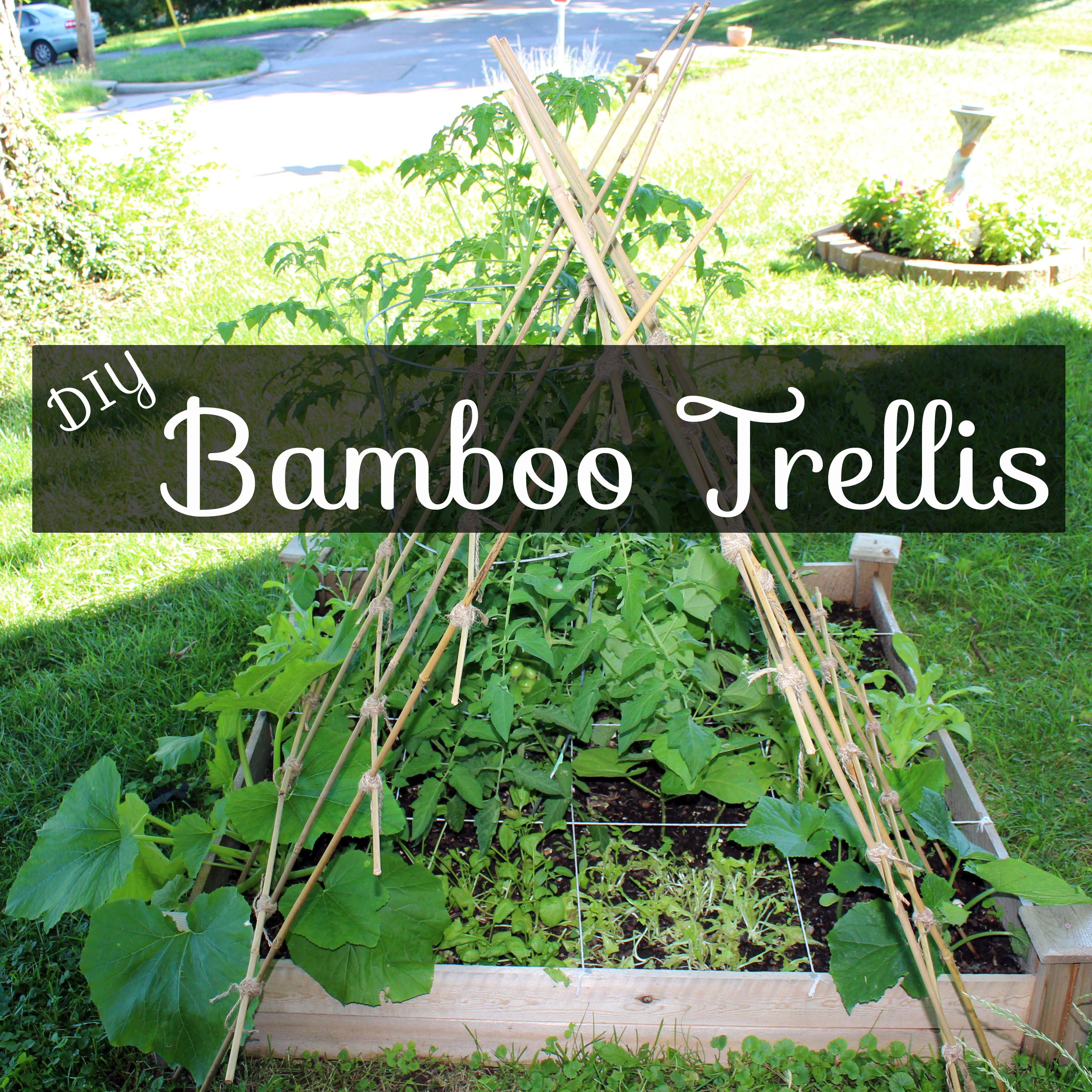 Best ideas about DIY Cucumber Trellis
. Save or Pin DIY Bamboo Garden Trellis – This Pug Life Now.