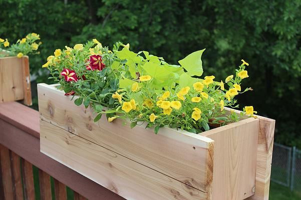 Best ideas about DIY Deck Planters
. Save or Pin Best 25 Deck railing planters ideas on Pinterest Now.